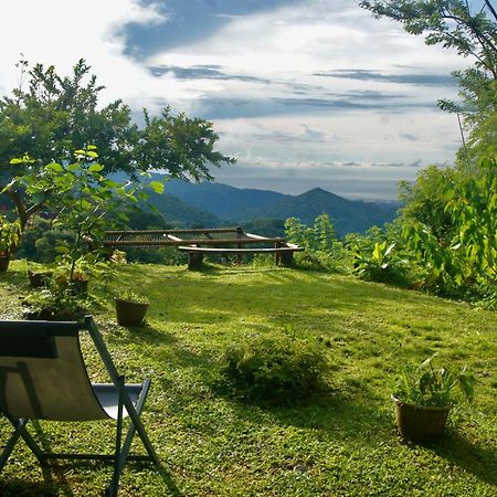 Hostal Vista Verde Minca Ngoại thất bức ảnh