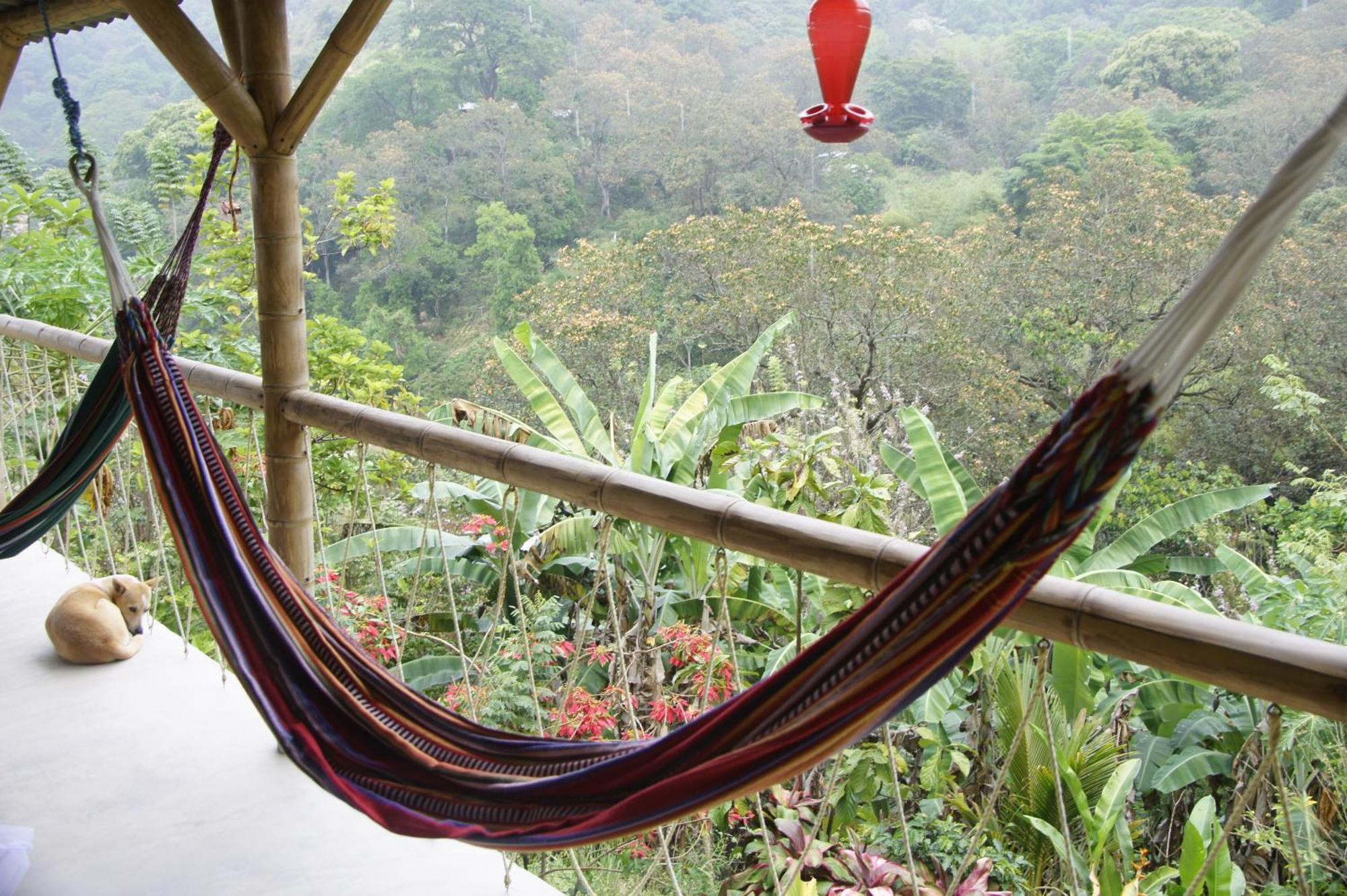 Hostal Vista Verde Minca Ngoại thất bức ảnh