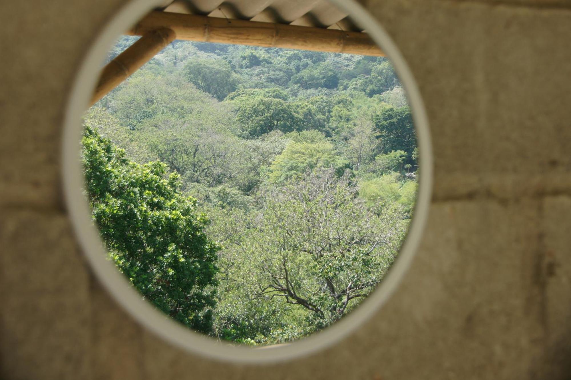 Hostal Vista Verde Minca Ngoại thất bức ảnh