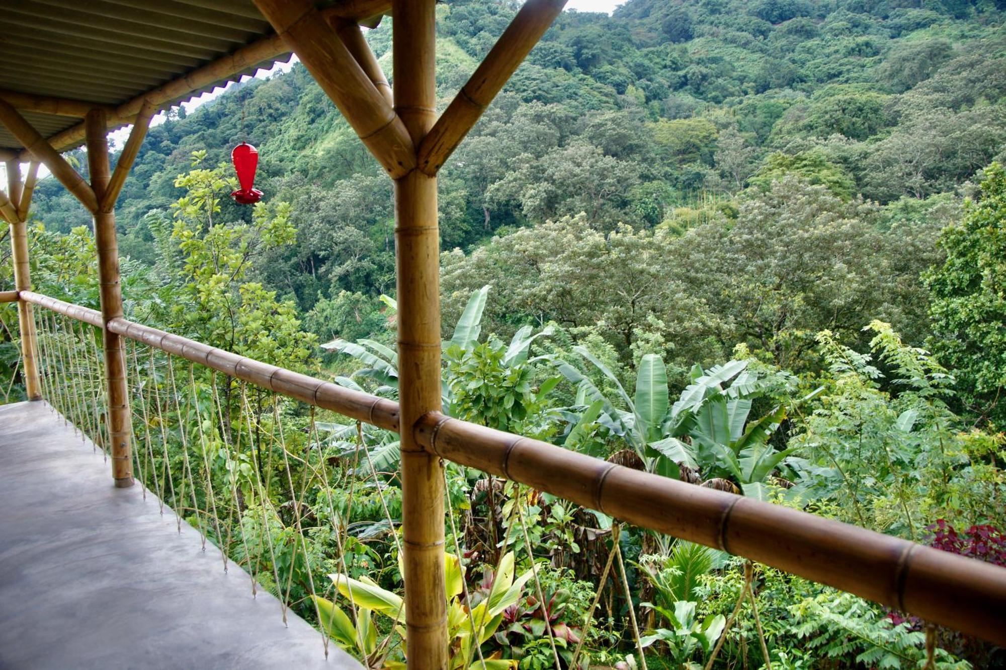 Hostal Vista Verde Minca Ngoại thất bức ảnh