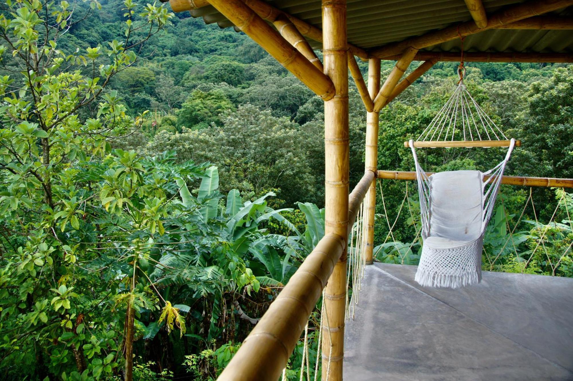 Hostal Vista Verde Minca Ngoại thất bức ảnh