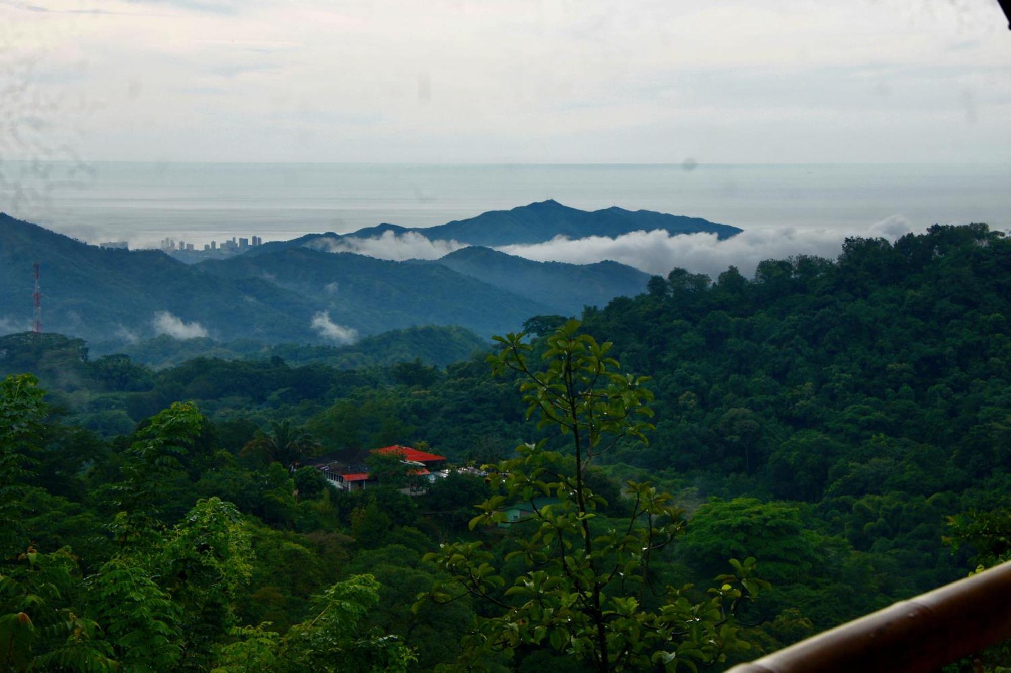 Hostal Vista Verde Minca Ngoại thất bức ảnh