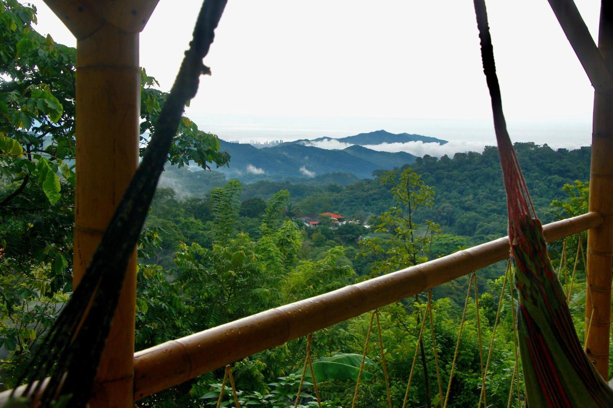 Hostal Vista Verde Minca Ngoại thất bức ảnh