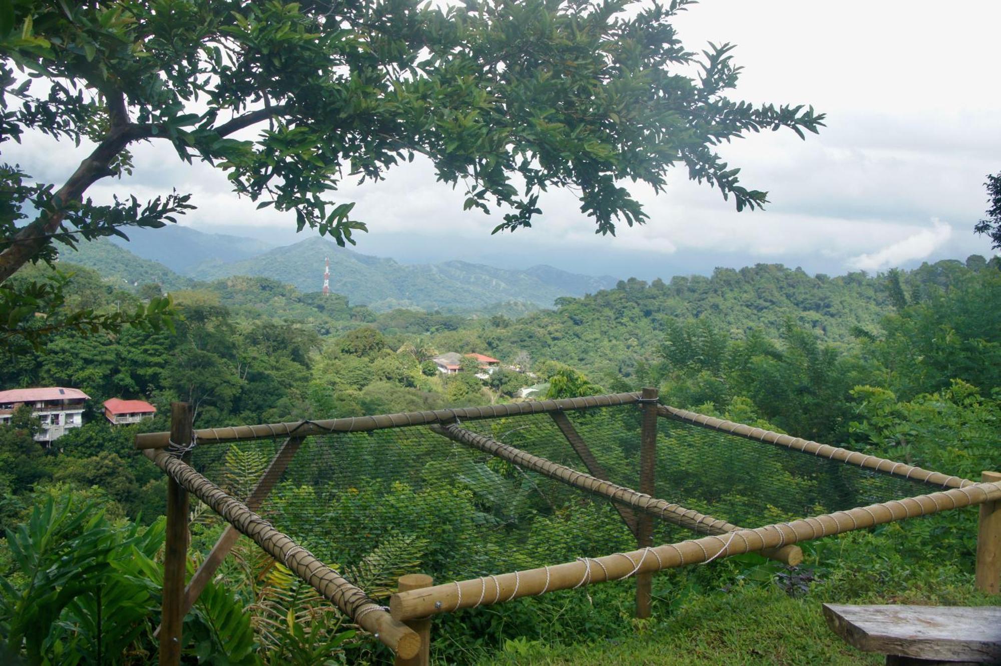 Hostal Vista Verde Minca Ngoại thất bức ảnh