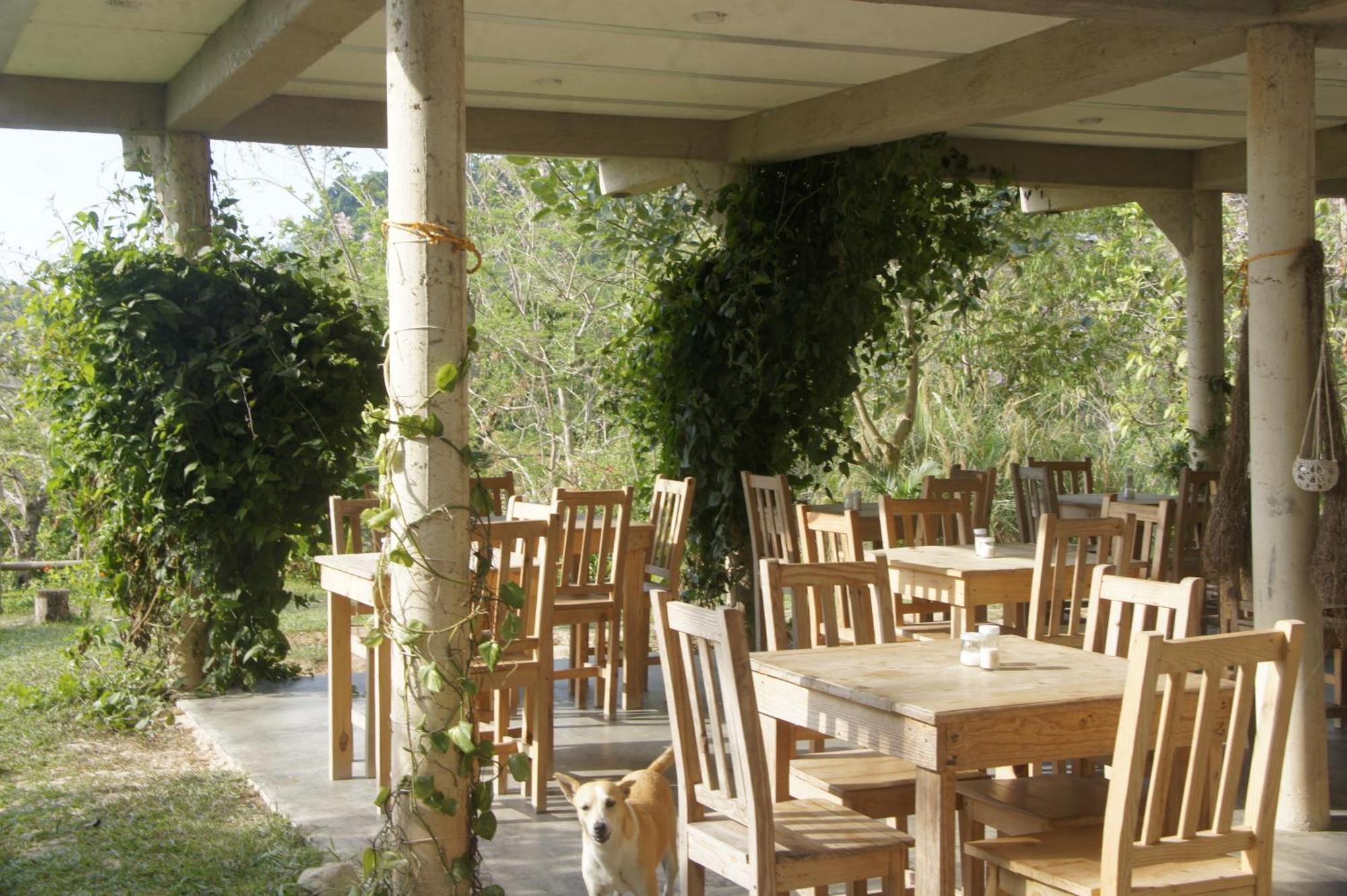 Hostal Vista Verde Minca Ngoại thất bức ảnh